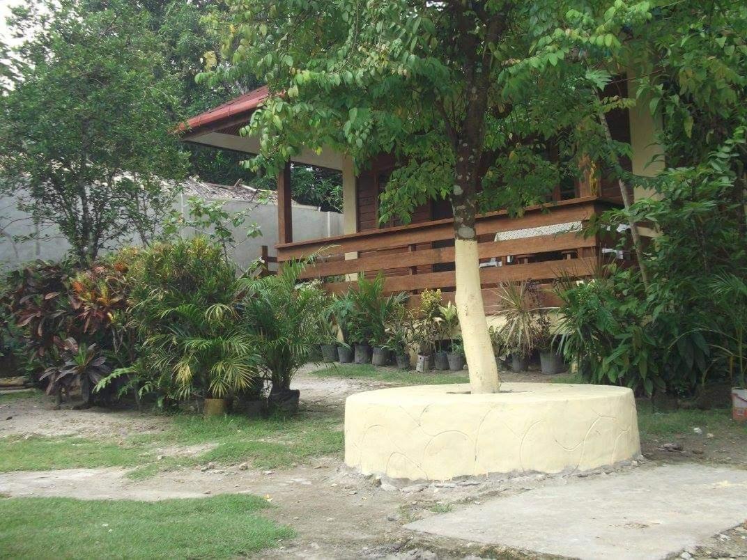 Nellie'S Tourist Inn- Port Barton San Vicente  Exteriér fotografie